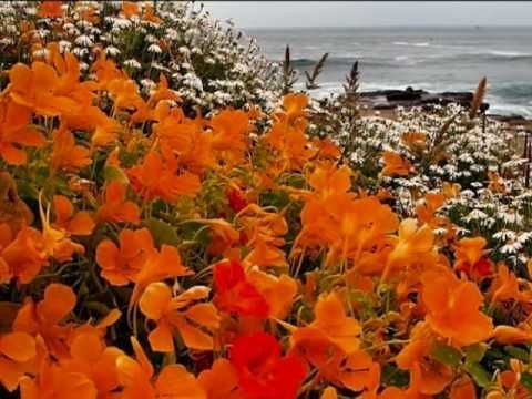 Ernesto Cortazar - Morelia’s Waltz