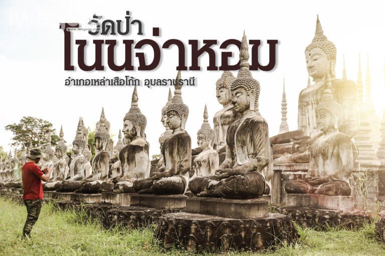 วัดป่าโนนจ่าหอม อ.เหล่าเสือโก้ก อุบลฯ | Iwegooo ท่องเที่ยว พจญภัย ไปคนเดียว