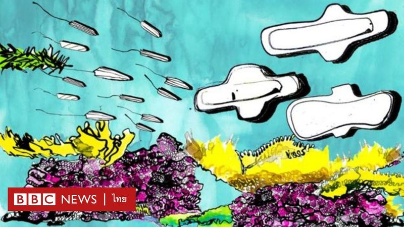 หญิงเอเชียชาติไหน มีภาระค่าใช้จ่ายเรื่องการมีรอบเดือนมากที่สุด - BBC News ไทย