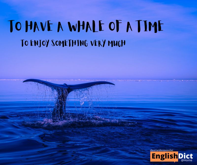 Englishdict @Home] Hello Guys! How Are You All? สวัสดีครับทุกคน วันนี้แอดมี  Animal Idiom สำนวนเกี่ยวกับสัตว์น่ารัก ๆ มาฝาก วันนี้ขอนำเสนอ 