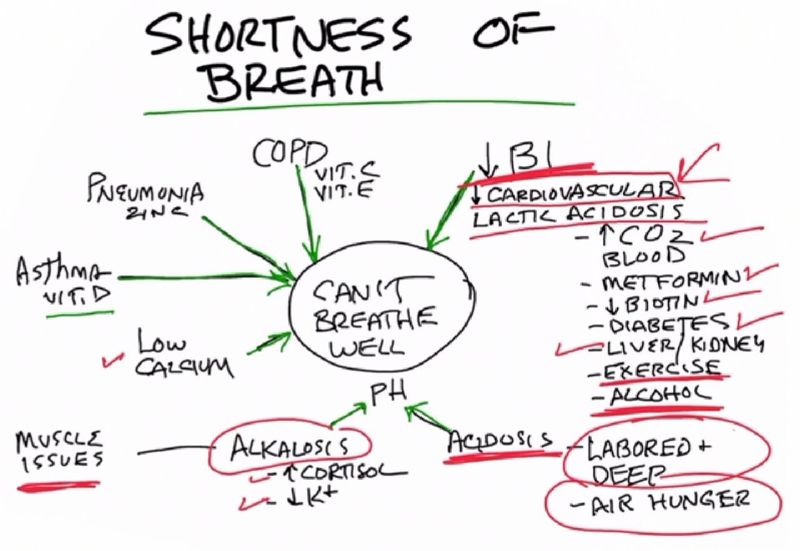 [😅ด๊อกนอกคอก😅] The 7 Causes of Shortness of Breath 1. Vitamin B1