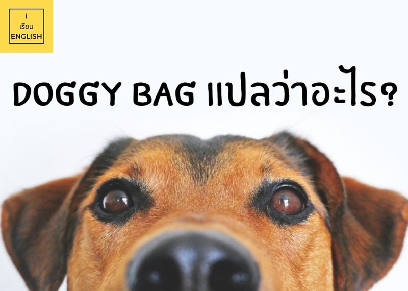 [I เรียน Enlish] Ep.4 Doggy Bags หมากระเป๋า? Doggy Bag คืออะไร ทำไมฟังดูแล้วเหมือนจะมีความหมาย
