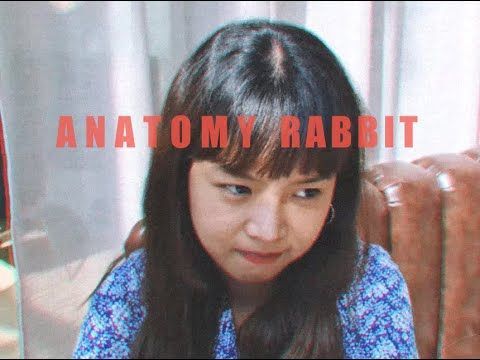 ANATOMY RABBIT - ธรรมดาแสนพิเศษ | Extraordinary (Official Audio)