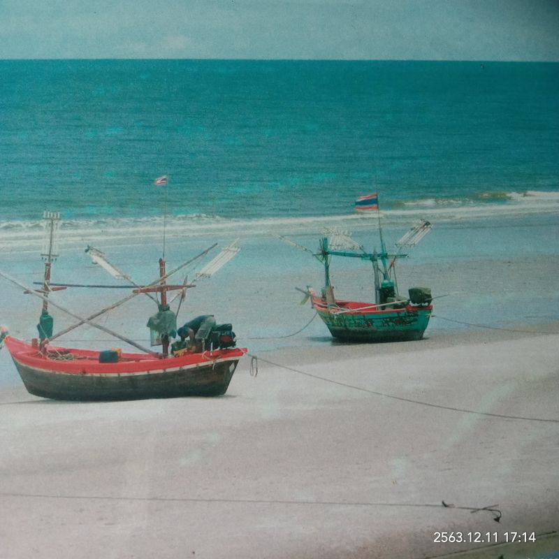 My Image 37