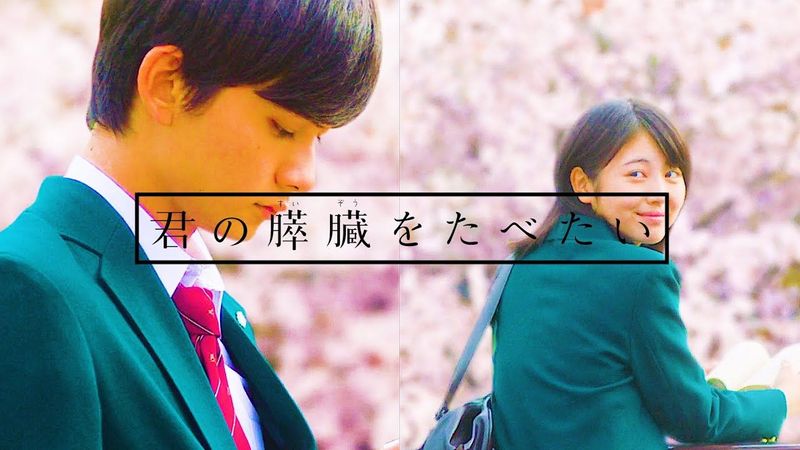 LET ME EAT YOUR PANCREAS | EINE KLEINE