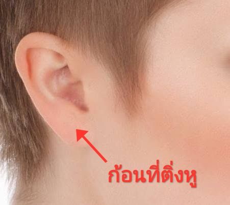 ทำไปเรื่อย] 