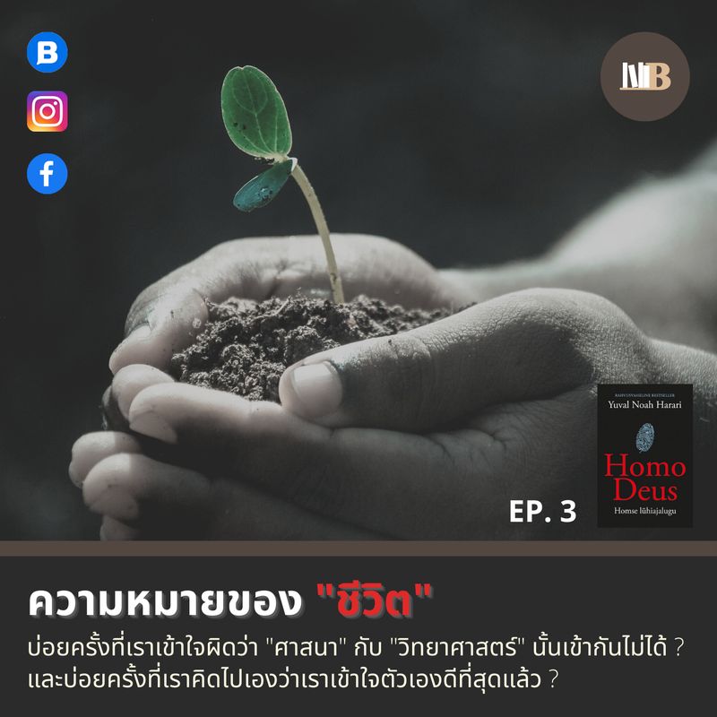 My Image 33