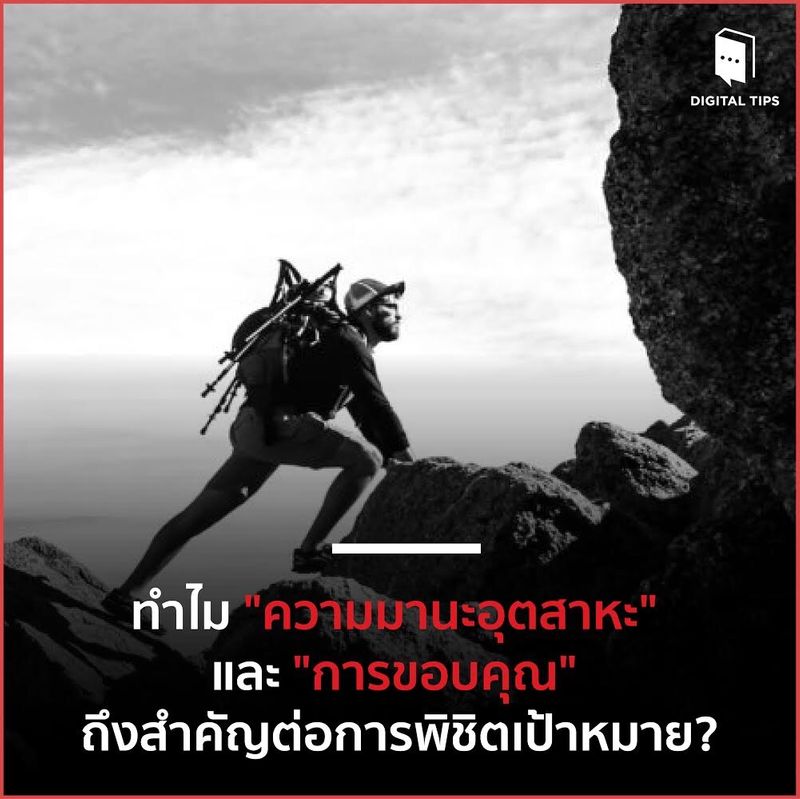 My Image 11
