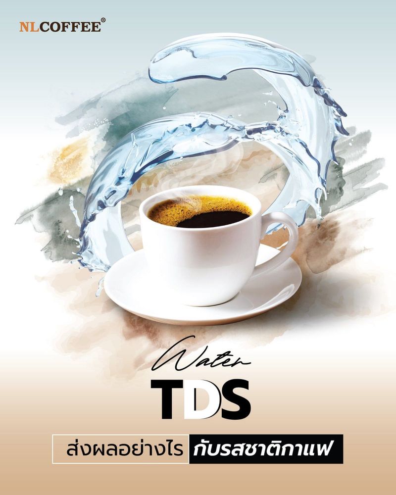 ค่า Water TDS ส่งผลอย่างไรกับรสชาติของกาแฟ? - Nlcoffee
