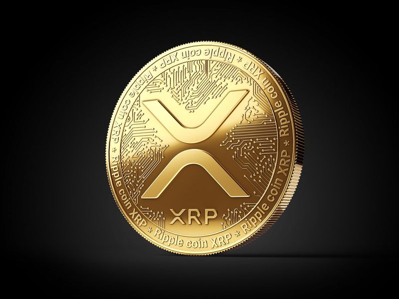  Born To Crypto XRP XRP 