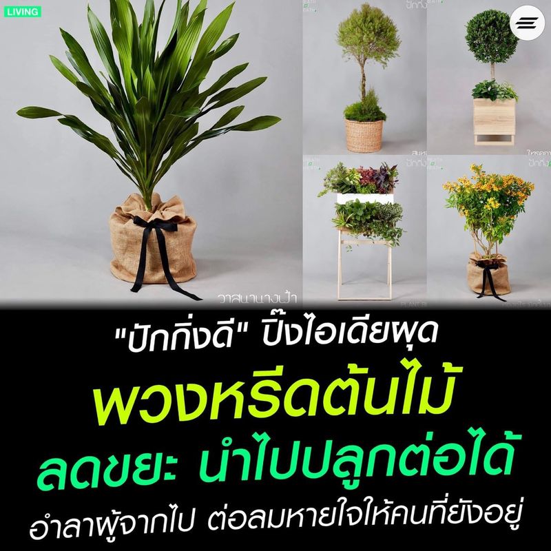 Environman] Living: 