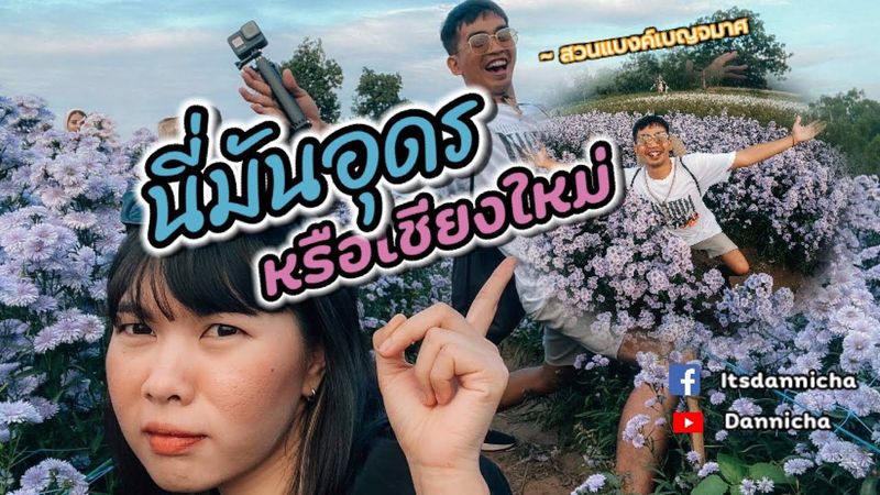 สวนดอกไม้ สวนแบงค์เบญจมาศ บ้านห้วยสำราญ สถานที่ท่องเที่ยวใหม่ อุดรธานีที่ห้ามพลาด บรรยากาศ เชียงใหม่