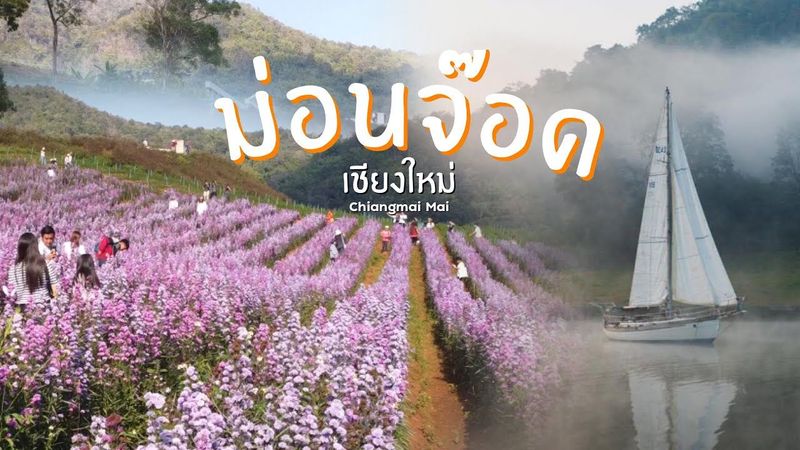 ม่อนจ๊อด อำเภอแม่ริม เชียงใหม่ บรรยากาศดีสุดๆ ที่ถ่ายรูปเยอะมาก สวิชเซอร์แลนด์เมืองไทย | แอ่วเหนือ