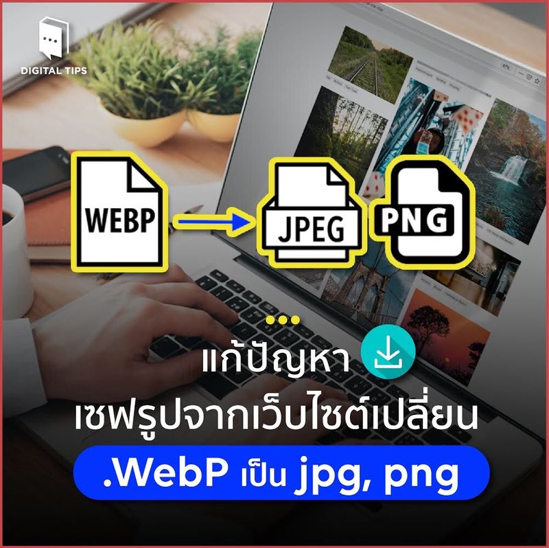Digital Tips Academy] วิธีแปลงไฟล์ .Webp ให้เป็น .Jpg หรือ .Png  แบบที่ไม่ยุ่งยากเลย หลายคนคงเคยเซฟรูปจากเว็บไซต์ แต่ไฟล์ออกมาเป็นนามสกุล  .Webp ซึ่งไม่มีโปรแกรมที่เปิดได้ใช่มั้ยคะ