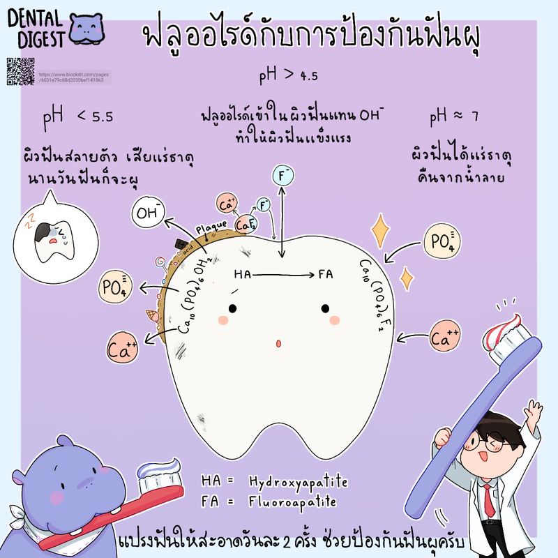 [Dental digest] รอบรู้ฟลูออไรด์ ฟลูออไรด์ คำคุ้นหูที่ทุกคนรู้ว่าช่วย