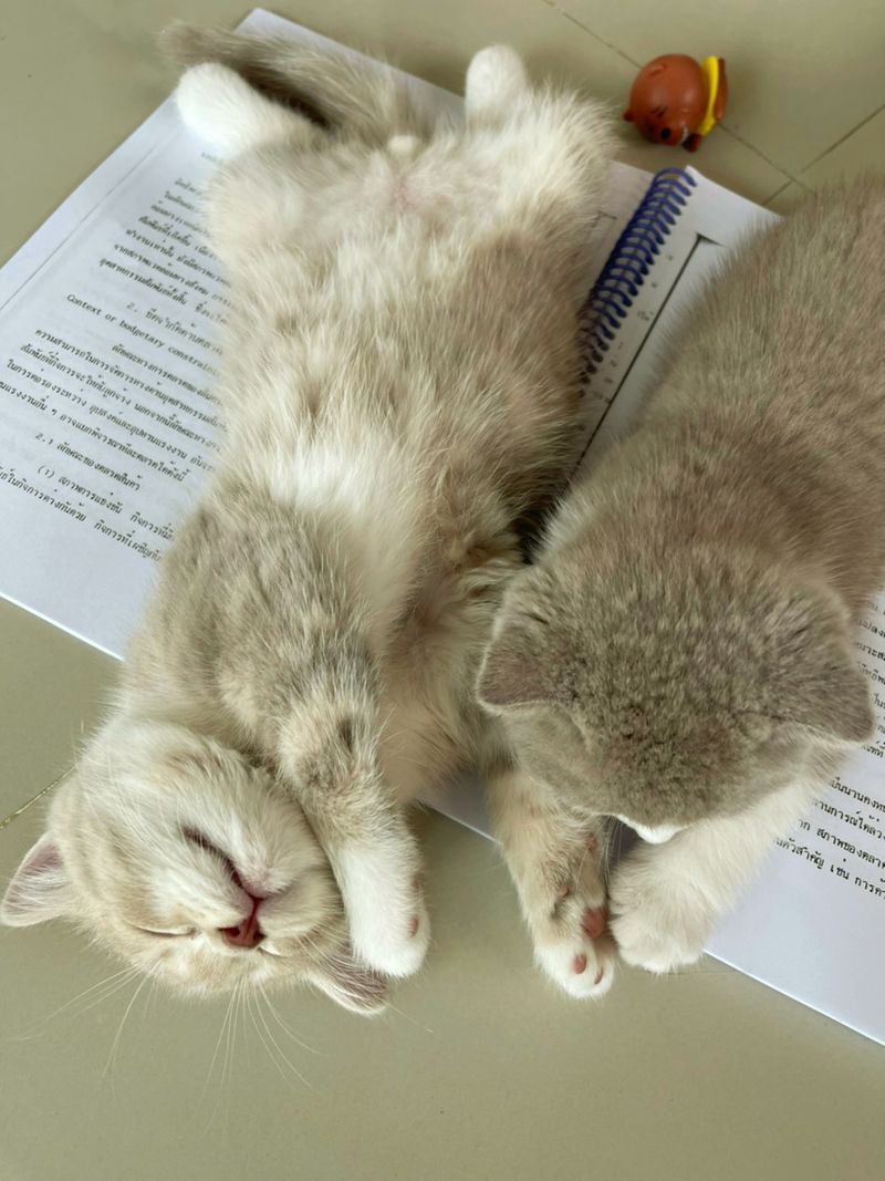 [🌈 หนอนน้อยซ์เจ้าปัญหา 💗] มาอีกแล้วค่าา... เพื่อนๆ 😍🌸