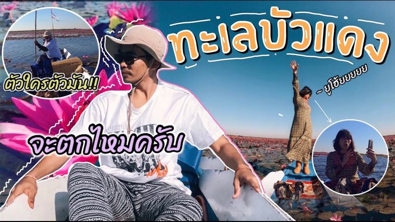 ล่องเรือชม ทะเลบัวแดง บ้านเดียม อำเภอกุมภวาปี จ. อุดรธานี บุกบึงหนองหานหน้าหนาว | Dannicha
