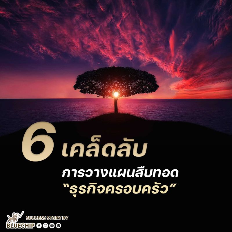 My Image 24
