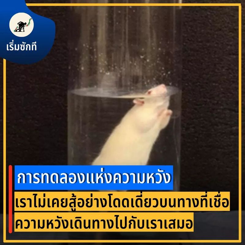 [เริ่มซักที] พลังแห่ง 