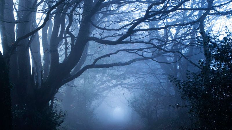 6 Scientific Explanations for Ghosts