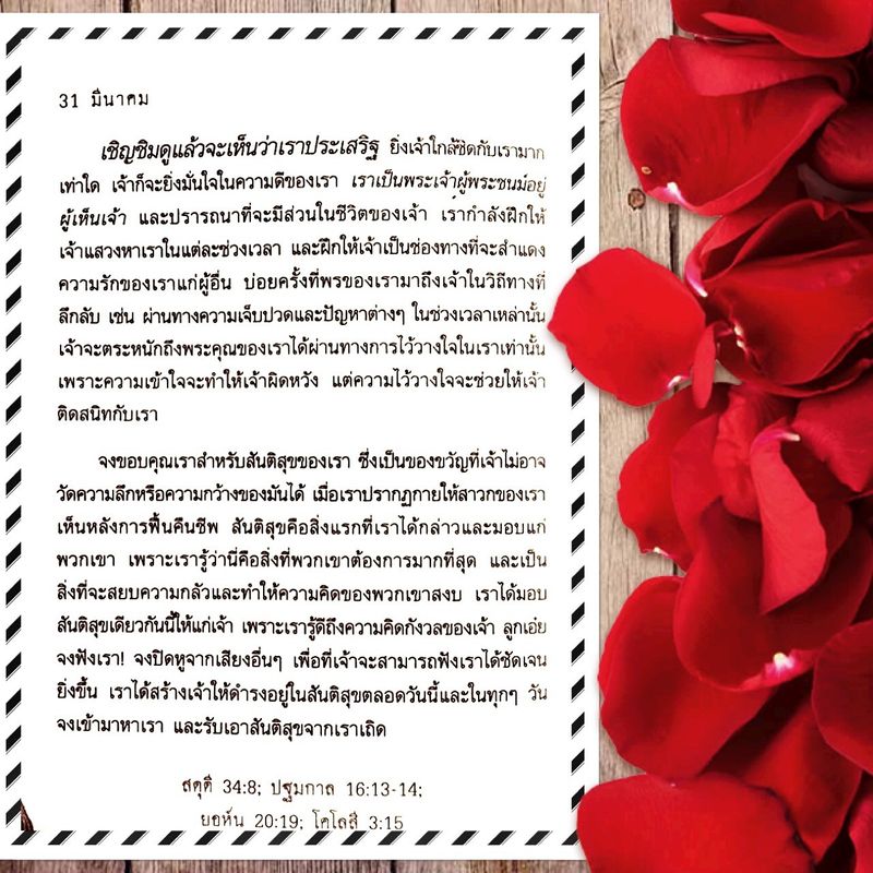 My Image 23