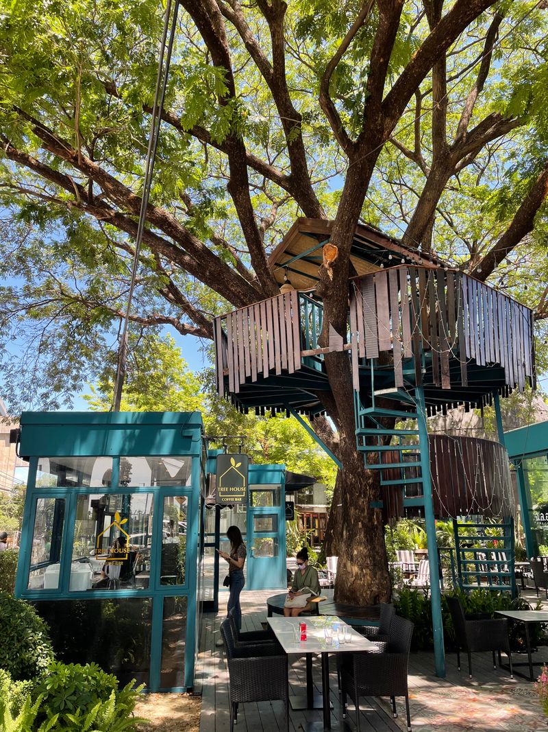 [The Tourist Man] Ep.15 TREE HOUSE COFFEE BAR วันนี้ขับรถผ่านหน้า “ช่าง