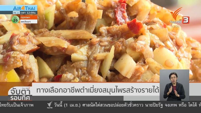 ทางเลือกอาชีพตำเมี่ยงสมุนไพรสร้างรายได้