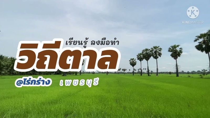เที่ยวชุมชนกันเถอะ @ชุมชนไร่กร่าง จังหวัดเพชรบุรี