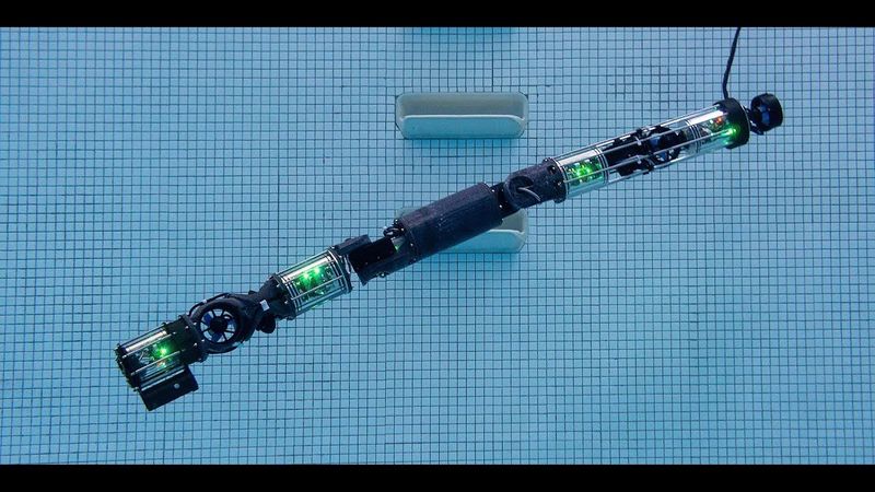 Hardened Underwater Modular Robot Snake (HUMRS)