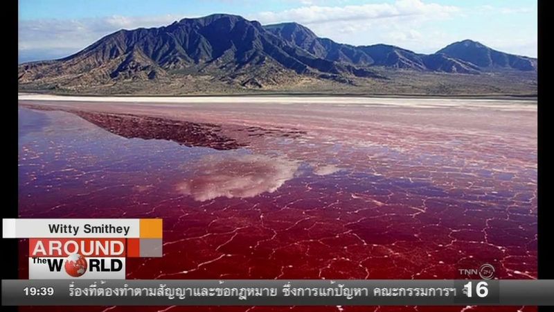 Lake Natron ทะเลสาบแห่งความตาย ที่ทำให้สัตว์กลายเป็นหิน