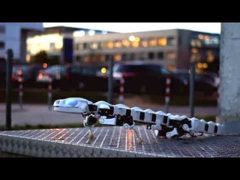 Introducing Pleurobot