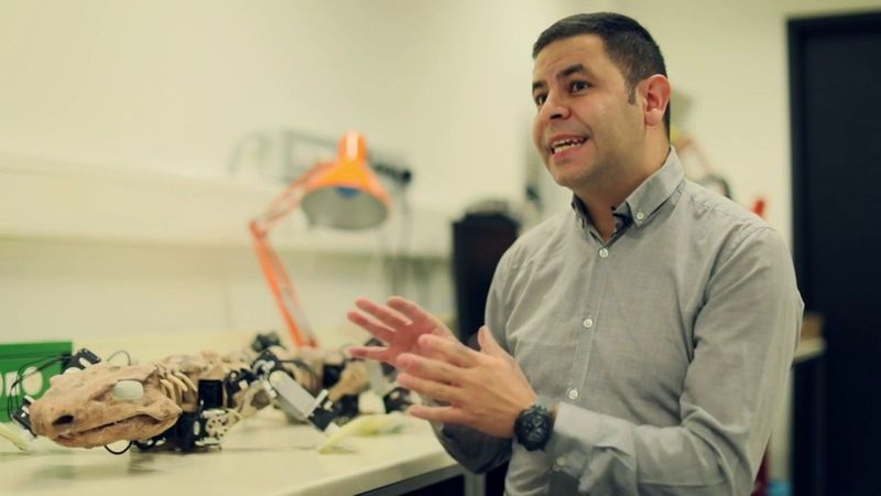 A robot recreates the walk of a 300-million-year-old fossilized animal