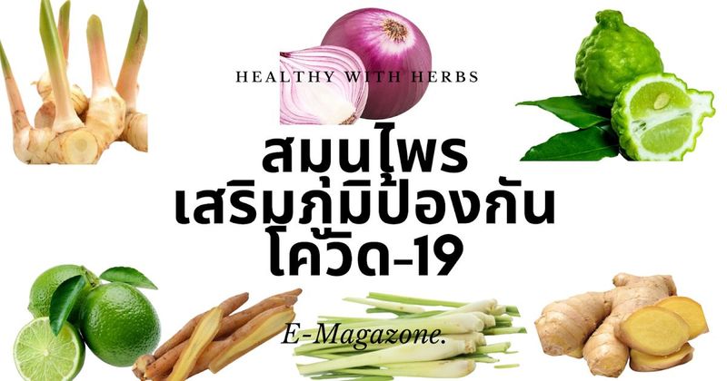 สมุนไพรไทยใกล้ตัว สร้างภูมิป้องกันโรคโควิด -19