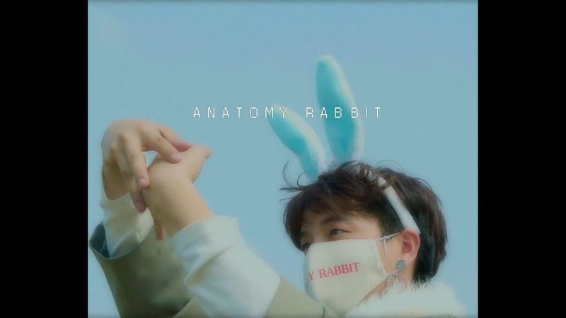 ANATOMY RABBIT - อย่าไปไหนเลย | AntiVirus [ OFFICIAL MV ]