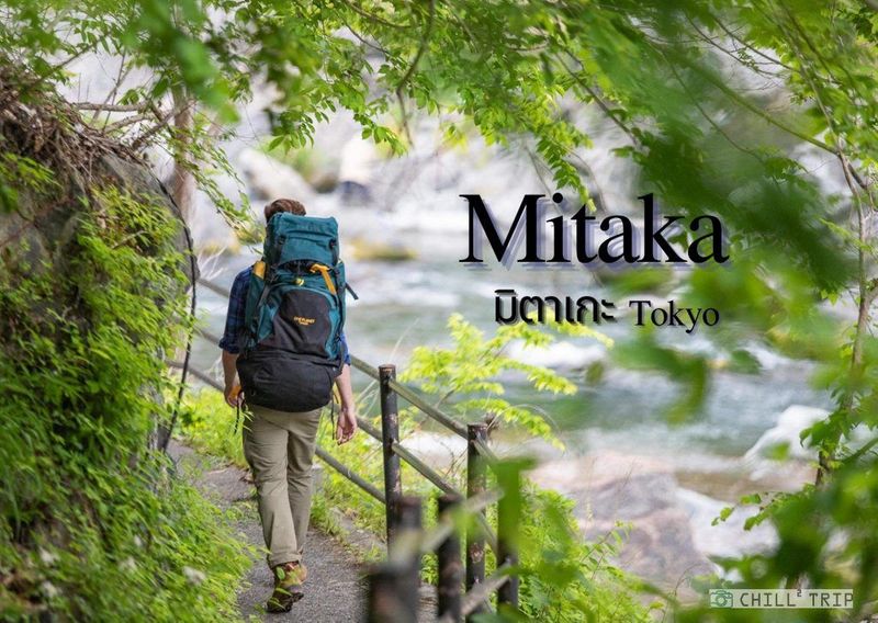 มิตาเกะ (Mitake) ชมป่าและชมธรรมชาติริมแม่น้ำทามะ เดินทางง่ายจากโตเกียว (Tokyo) - ChillChill-Trip