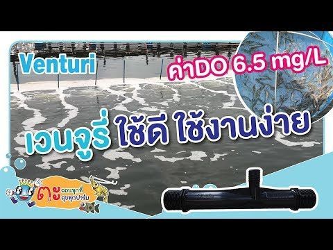 เวนจูรี่ ใช้ดี ใช้งานง่าย
