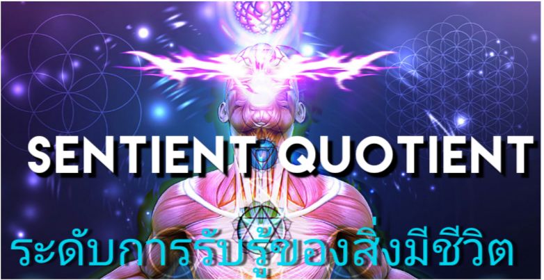 [sci fire] Sentient quotient (SQ) ระดับ การรับรู้ คุณ น่าจะรู้จัก ...