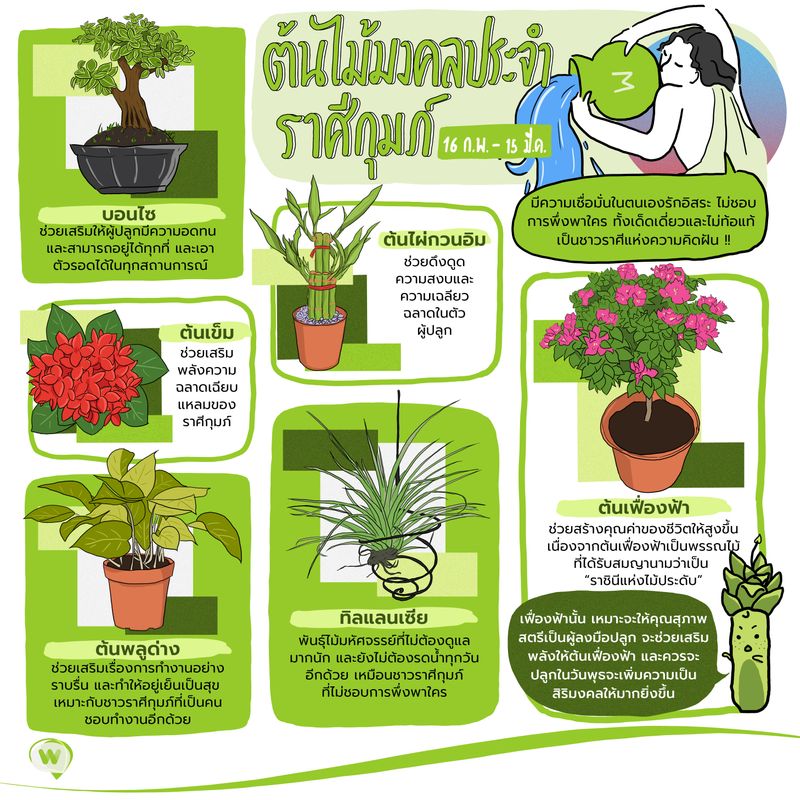 Wasabi] ต้นไม้มงคลประจำราศีกุมภ์ ชาวราศีกุมภ์ มีความเชื่อมั่นในตนเอง  รักอิสระ ไม่ชอบการพึ่งพาใคร นอกจากนี้ยังเป็นคนที่มีความคิดสร้างสรรค์สูง  ทั้งเด็ดเดี่ยวและไม่ท้อแท้ เป็นชาวราศีแห่งความคิดฝัน !!