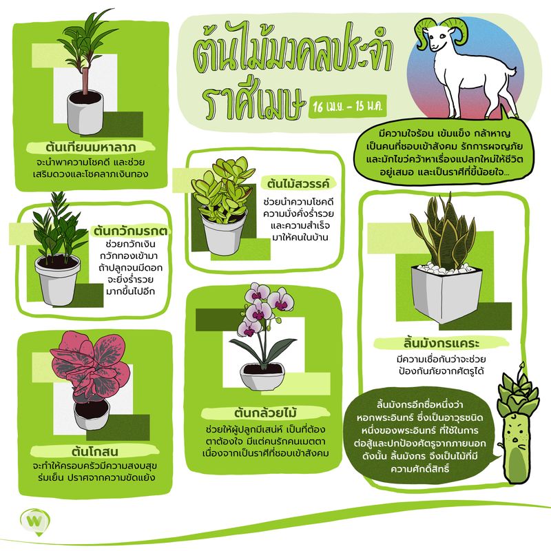 Wasabi] ต้นไม้มงคลประจำราศีเมษ ราศีที่มีความใจร้อน ขี้โวยวาย เข้มแข็ง  กล้าหาญ อีกทั้งยังเป็นคนที่ชอบเข้าสังคม  รักการผจญภัยและมักไขว่คว้าหาเรื่องแปลกใหม่ให้ชีวิตอยู่เสมอ และเป็นราศี ที่ขี้น้อยใจ