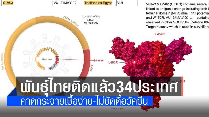 โควิด สายพันธุ์ไทย ลาม 34 ประเทศ พบกระจายเชื้อง่าย