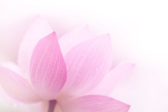 สื่อธรรม - บุญบำบัด ปัญญาสู่สันติสุข