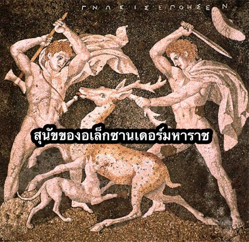 My Image 12