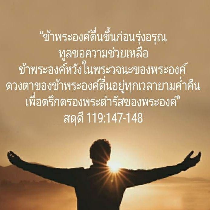 My Image 8