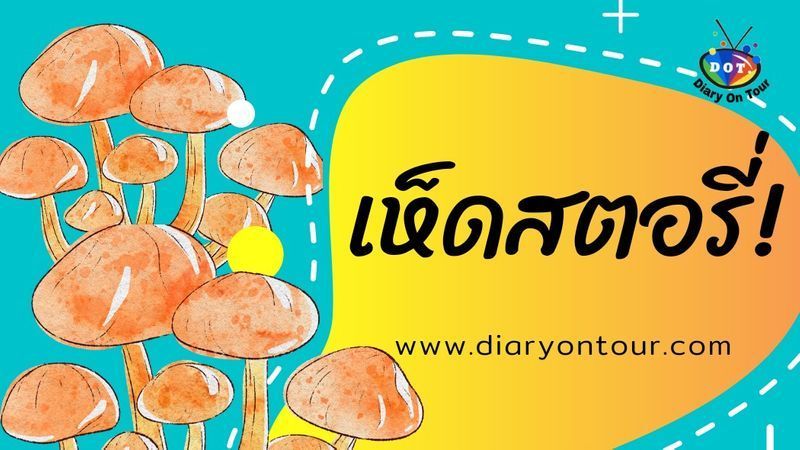 Diary On Tour