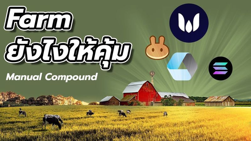 [Boat NFT & crypTo] ช่วงนี้ เข้าไปศึกษาเรื่อง cryptocurrency และ yield ...