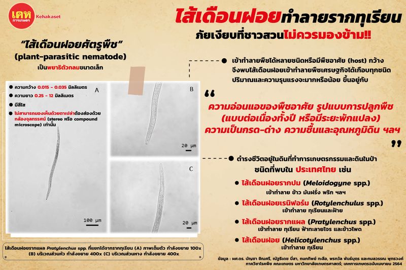 [เคหการเกษตร] 