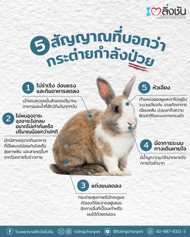 My Image 3