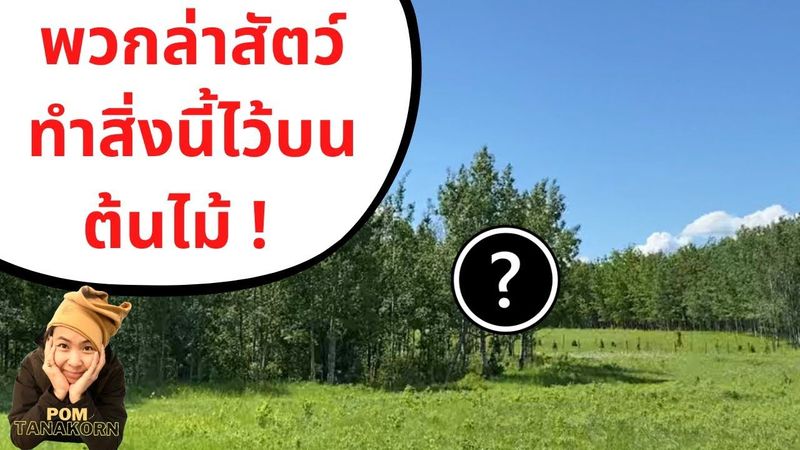 นักล่าสัตว์ที่แคนาดาทำสิ่งนี้ไว้บนต้นไม้