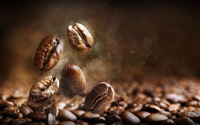 ทำความรู้จักกาแฟ 4 สายพันธุ์ ที่จะทำให้คุณเลือกดื่มกาแฟได้ตรงกับไลฟ์สไตล์