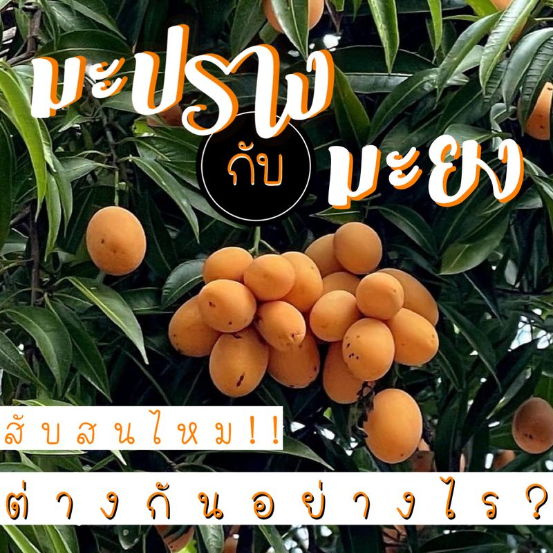My Image 12